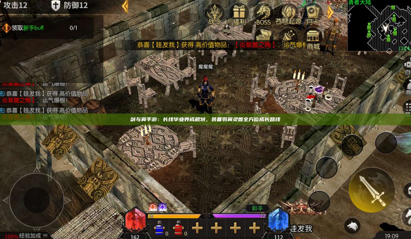 剑与翼手游:长线毕业养成规划,装备羽翼灵兽全方位成长路线
