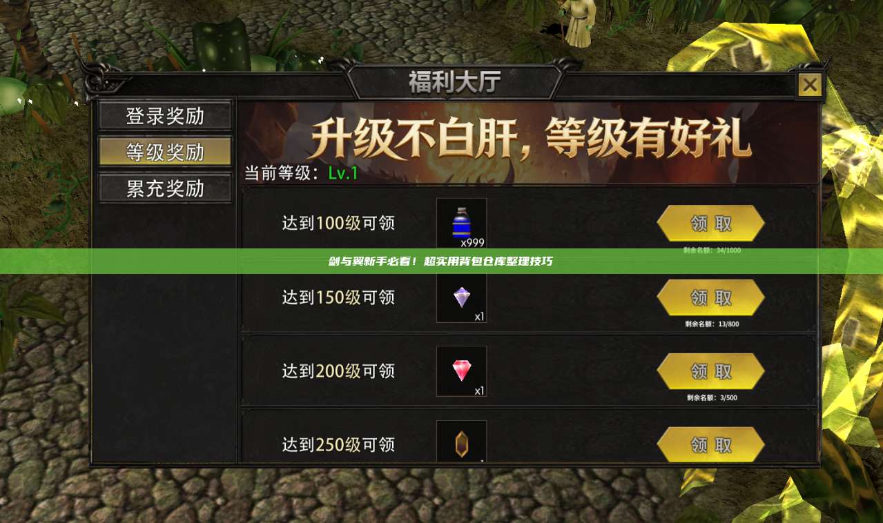 剑与翼新手必看!超实用背包仓库整理技巧